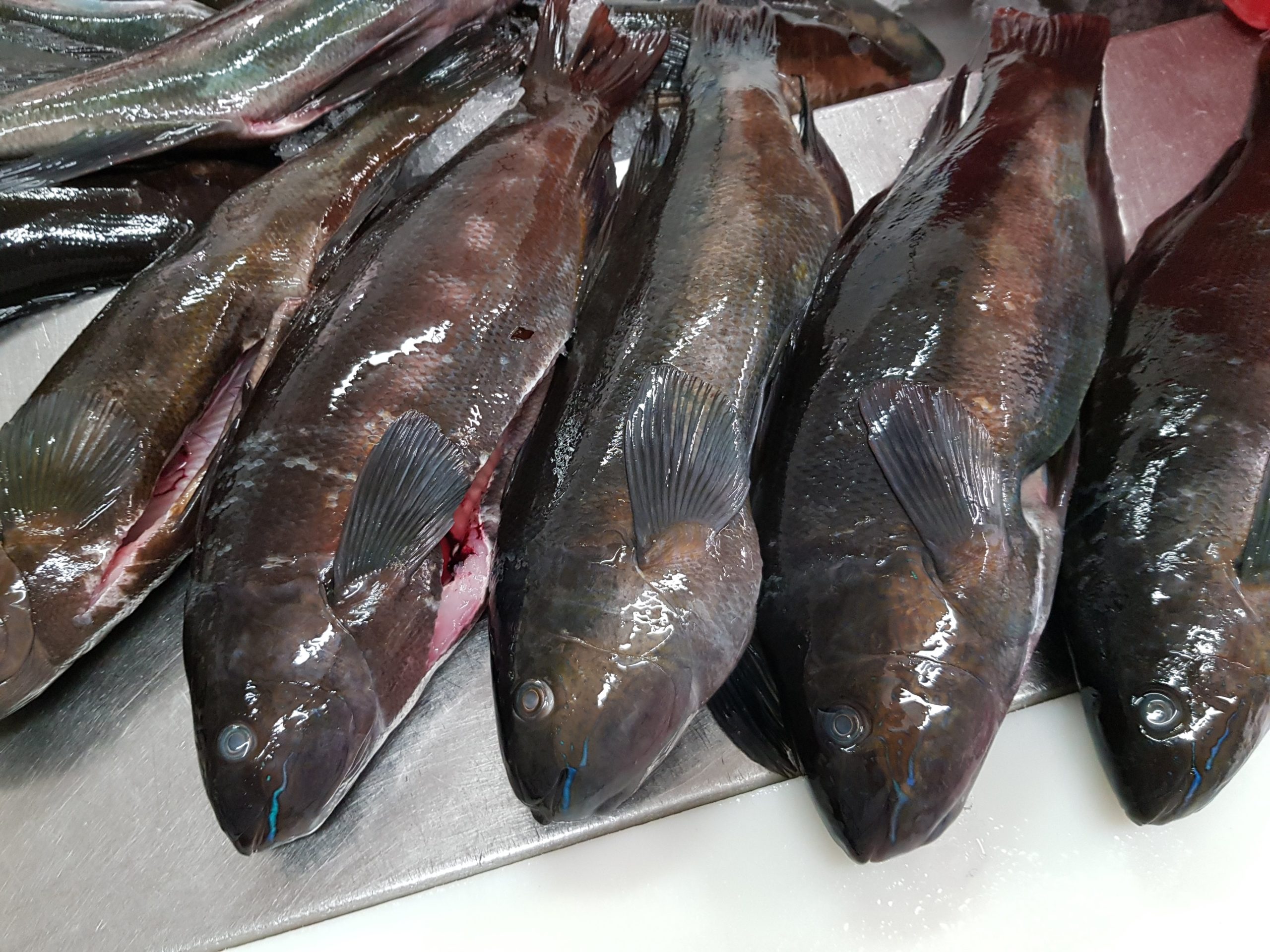 Butterfish Whole Gilled Gutted And Scaled Wellington Seamarket